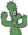 Kaktus-und-Kübel